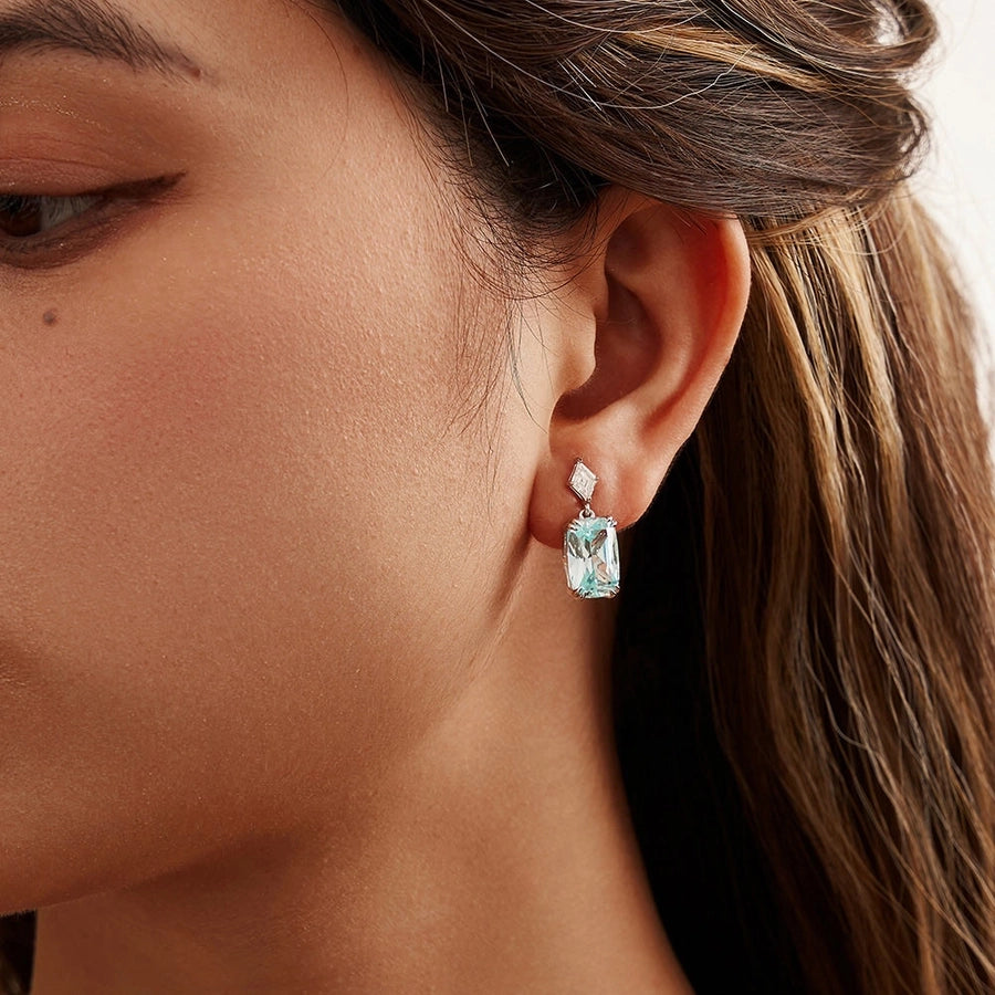 Zircon Drop Earrings